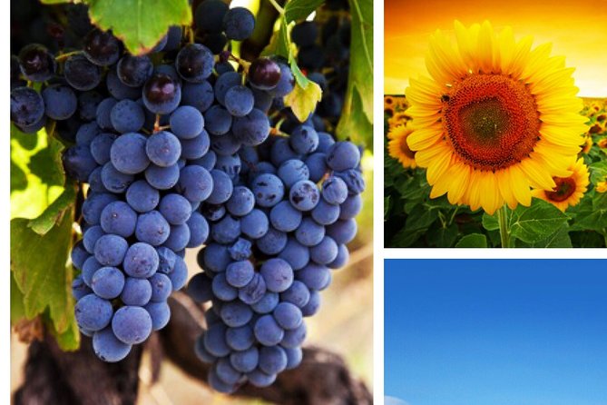 Provence Best Of - Scenic Drives