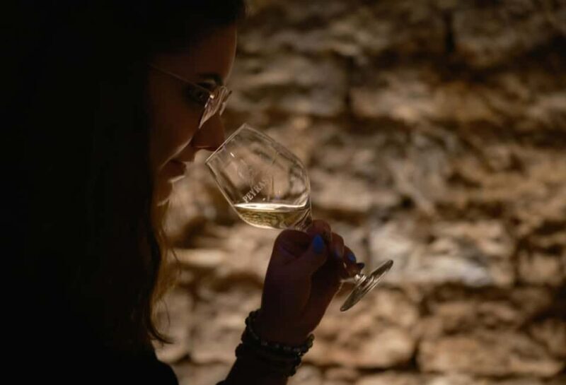 Provence: Commanderie de Peyrasso Guided Tour of the Cellars - Exploring the Itinerary in Detail