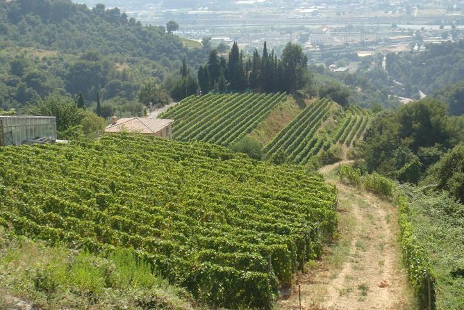 Provence Countryside Full-Day Private Tour From Nice - Gourdon: Panoramic Views Over the Mediterranean