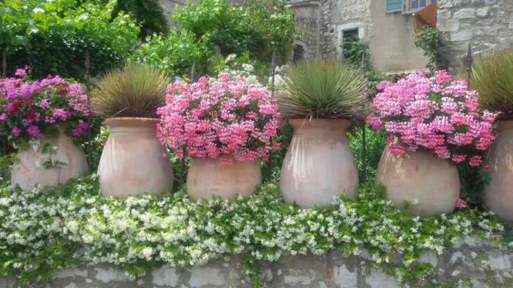 Provence Countryside Trip - Tour Highlights