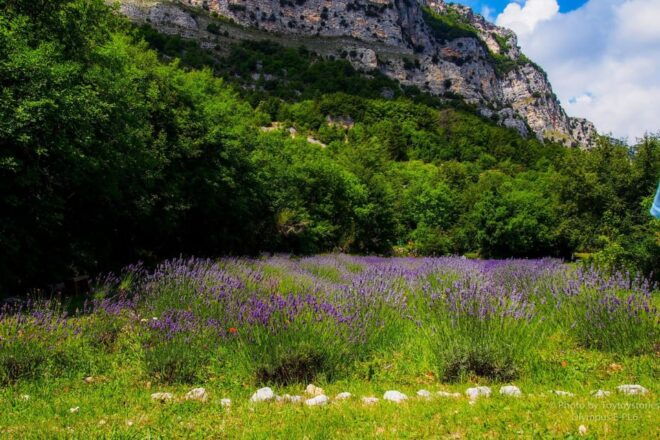 Provence Countryside Trip - Key Destinations