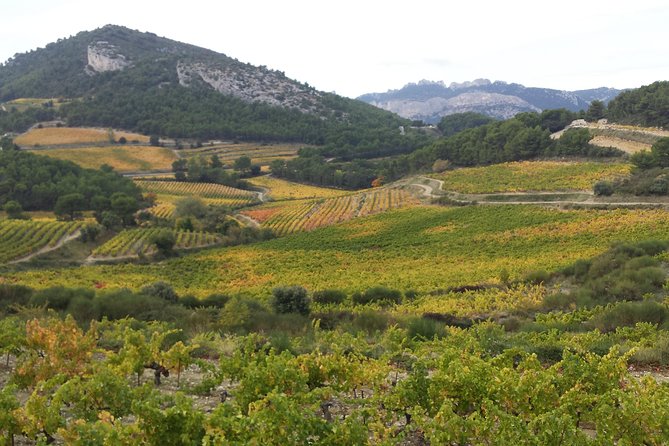 Provence Cru Wine Small-Group Half-Day Tour From Avignon - Traveler Photos and Reviews