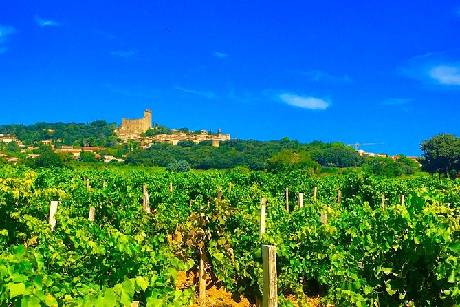 Provence Cru Wine Small-Group Half-Day Tour From Avignon - Positive Feedback and Testimonials