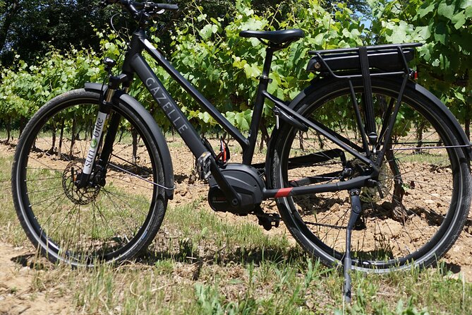 Provence Electric Bike Rental From Saint-Rémy-De-Provence - Overview: Explore Provence With an Electric Bike