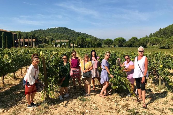 Provence Full Day Private Tour With Professional Guide From Marseille - Personalized and Knowledgeable Tour Guides