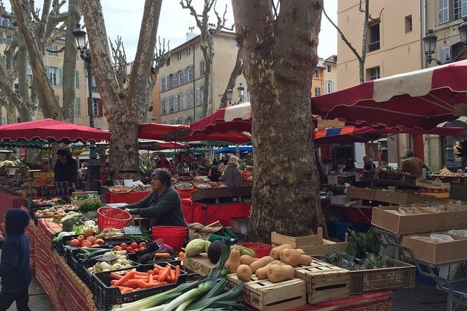 Provence Full Day Private Tour With Professional Guide From Marseille - Additional Information and Assistance