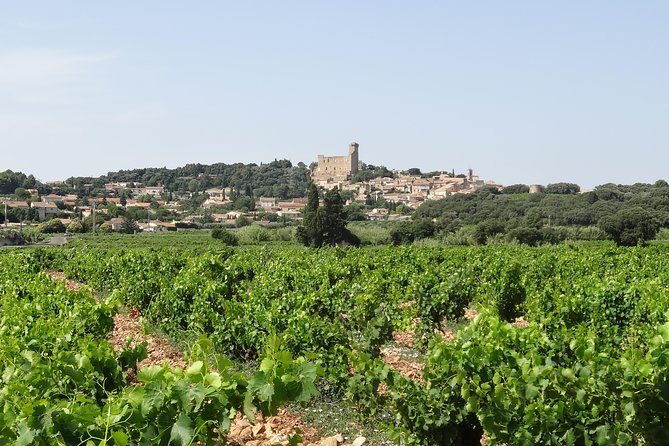 Provence Grand Tour With Avignon, Orange, Chateauneuf-Du-Pape - Customer Satisfaction and Feedback