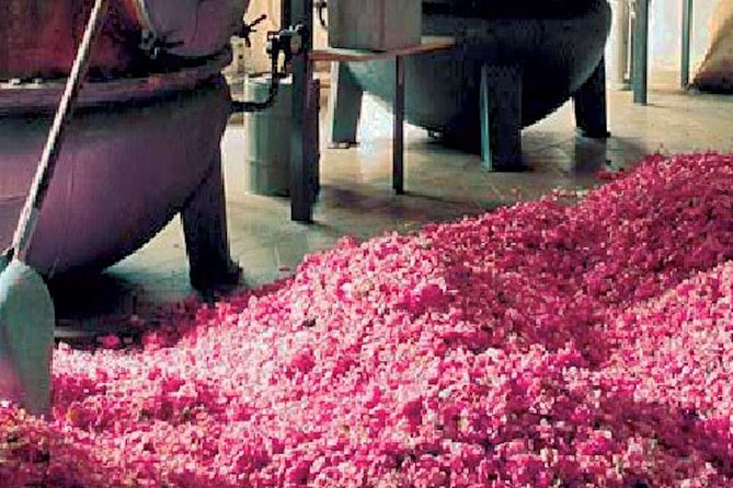 Provence Half-Day, Small-Group Tour: St Paul De Vence, Grasse - Nice - Common Questions