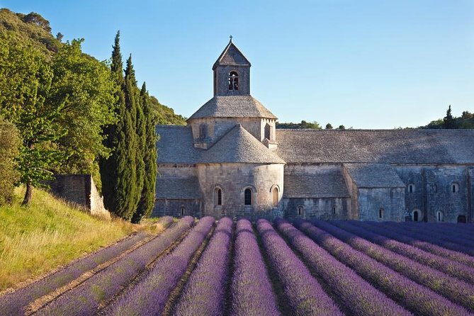 Provence Highlights Custom Full-Day Private Tour  - Marseille - Tour Overview and Itinerary Options