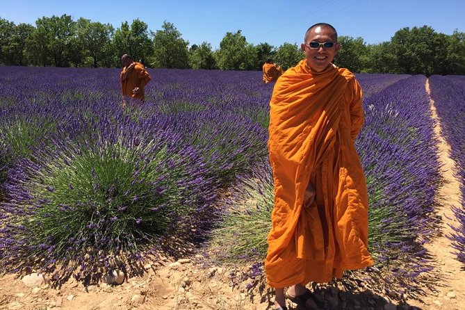 Provence Highlights Custom Full-Day Private Tour  - Marseille - Additional Information and Cancellation Policy