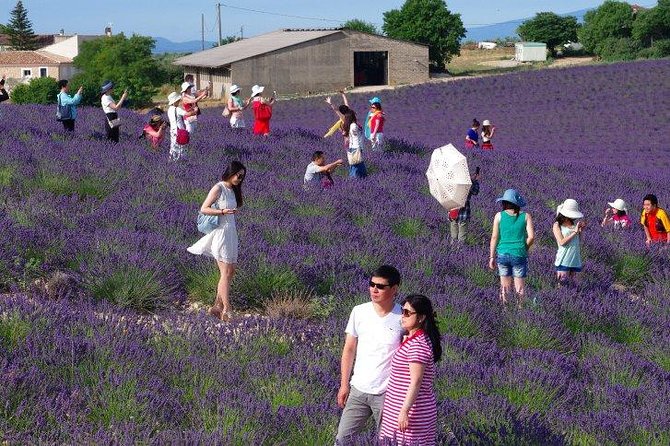 Provence Highlights Custom Full-Day Private Tour  - Marseille - Terms and Conditions