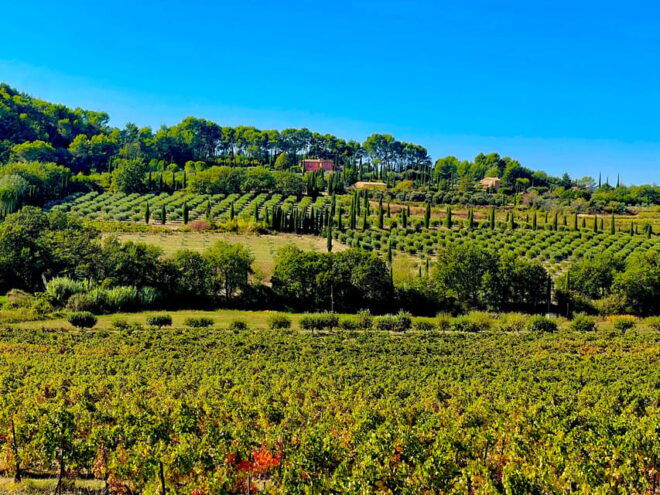 Provence Highlights Full-Day Tour From Avignon - Important Information