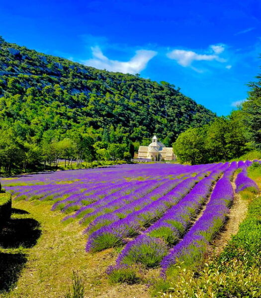 Provence Highlights Full-Day Tour From Avignon - Additional Tips for Travelers