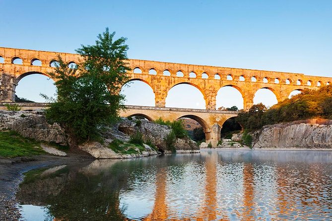 Provence Highlights Full-Day Tour From Avignon - Visiting the Lavender Fields