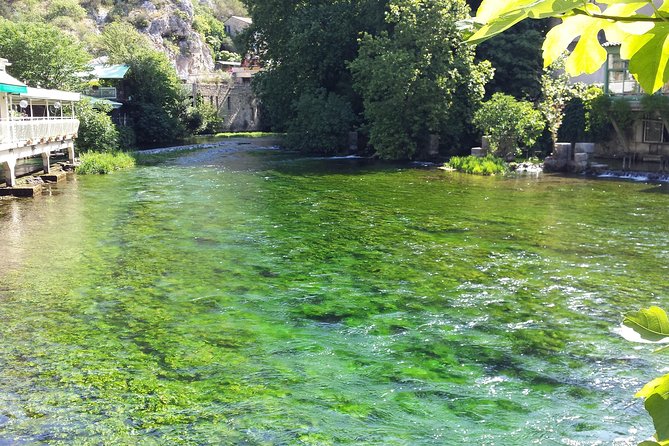 Provence Highlights Full-Day Tour From Avignon - Taking in Van Goghs Footsteps