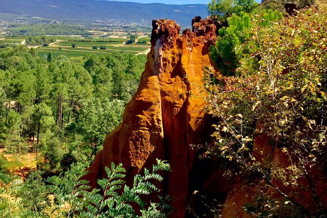 Provence Highlights Full-Day Tour From Avignon - Reviews and Ratings