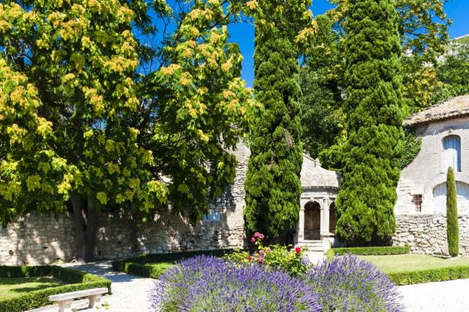Provence in One Day Small Group Day Trip From Avignon - Positive Feedback