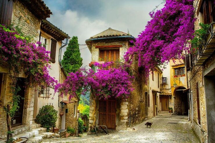 Provence & Its Medieval Villages Full Day Sightseeing Tour - Full Tour Description