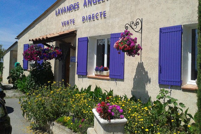 Provence Lavender Fields Tour From Aix-En-Provence - Feedback and Recommendations