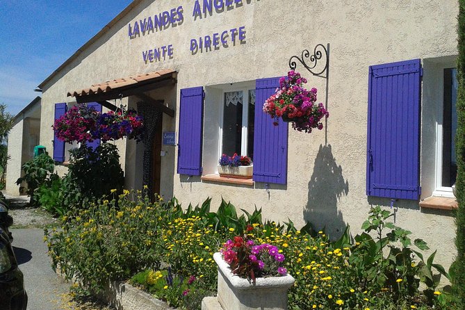 Provence Lavender Fields Tour in Valensole From Marseille - Directions