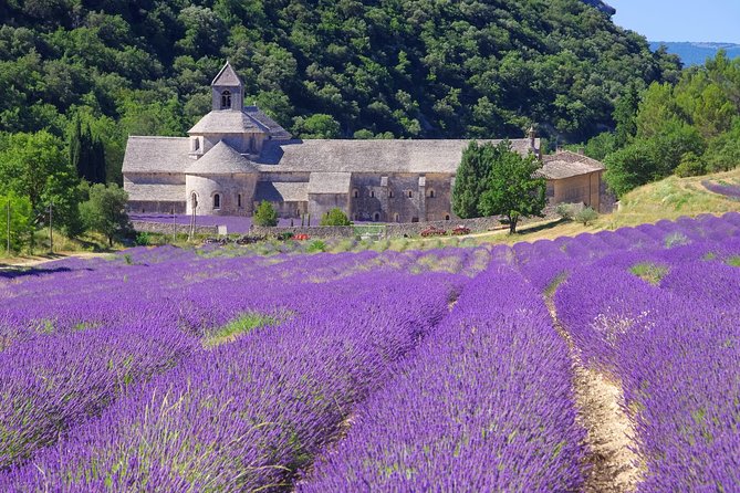 Provence Lavender Full Day Tour From Avignon - Enchanting French Villages