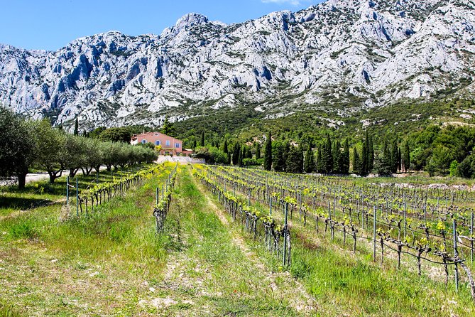 Provence - Mont Sainte Victoire in Search of Cézanne Private Wine Tour - Other Information