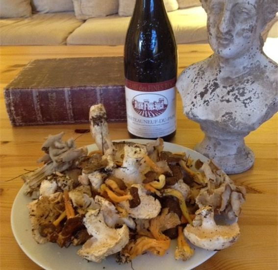 Provence: Mushroom Hunting With Outdoor Breakfast - Experience Highlights