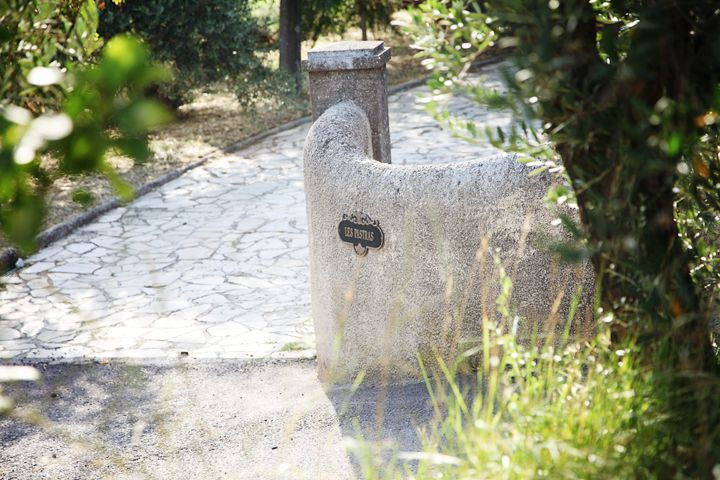 Provence Olive Harvest - Activity Details