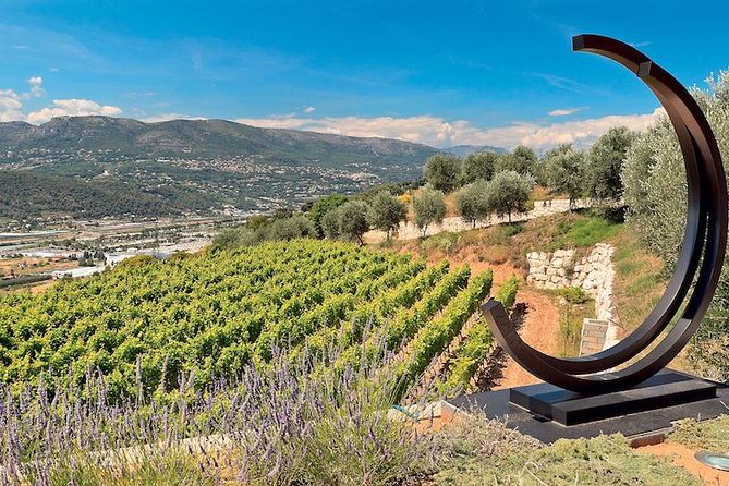 Provence Organic Wine Small Group Half Day Tour With Tastings From Nice - Organic Wineries Visited