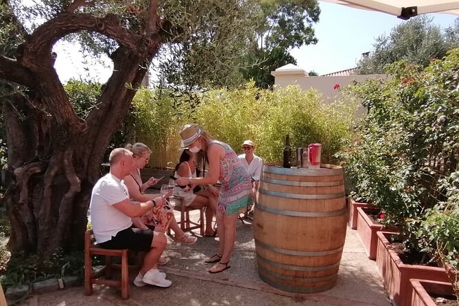 Provence Organic Wine Small Group Half Day Tour With Tastings From Nice - Positive Feedback From Guests