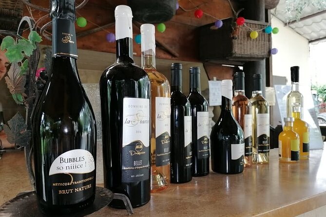 Provence Organic Wine Small Group Half Day Tour With Tastings From Nice - Family-Friendly Experience