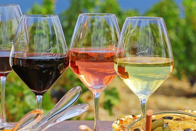 Provence Organic Wine Tasting Half Day Tour From Nice - Round-Trip Transport Included