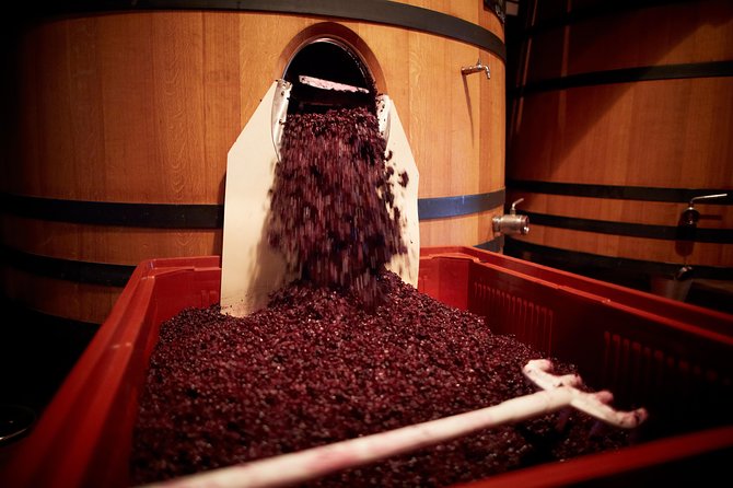 Provence Private Full Day Wine Tour With Wine Tasting - Winery Visits and Terroir Education