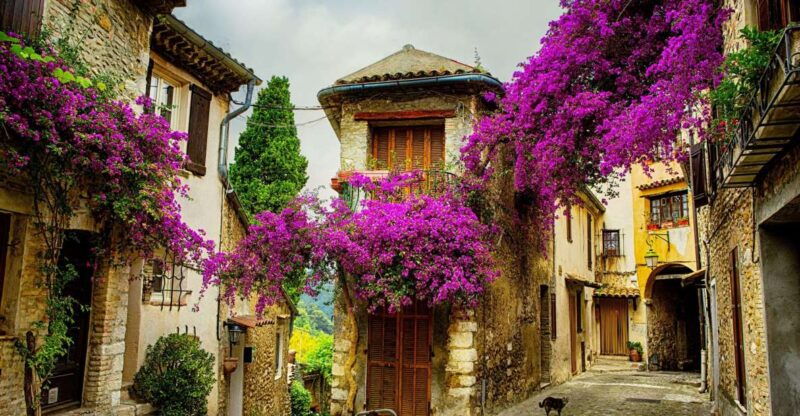 Provence Private Tour: Aix-En-Provence, (Marseille) & Cassis - Good To Know