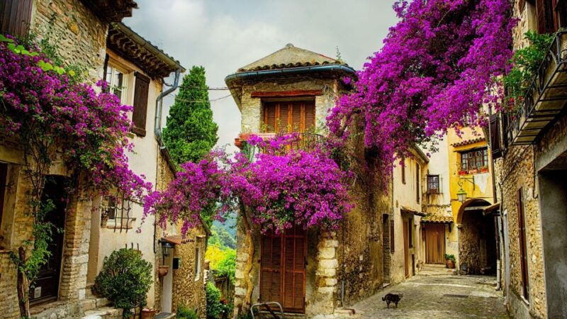 Provence Private Tour: Aix-En-Provence, (Marseille) & Cassis - Tour Itinerary and Activities