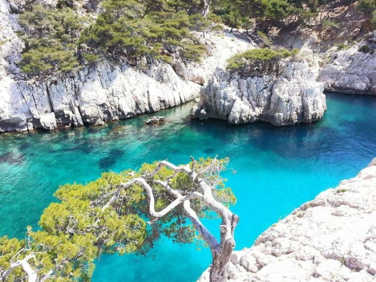 Provence Private Tour: Aix-En-Provence, (Marseille) & Cassis - Highlights of Cassis