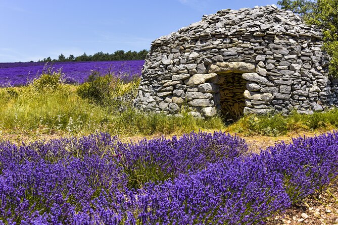Provence Shared Half Day Lavender Tour From Aix En Provence - Tour Itinerary