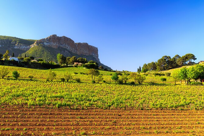 Provence Small Group Half-Day Wine Tour From Aix - Expert Guide
