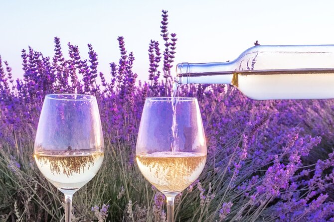 Provence Small Group Wine Full Day Tour in Chateauneuf Du Pape Vineyard From Aix - The Sum Up