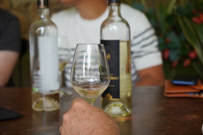 Provence Wine Small Group Day Tour From Nice With Tastings & Lunch - Customer Reviews