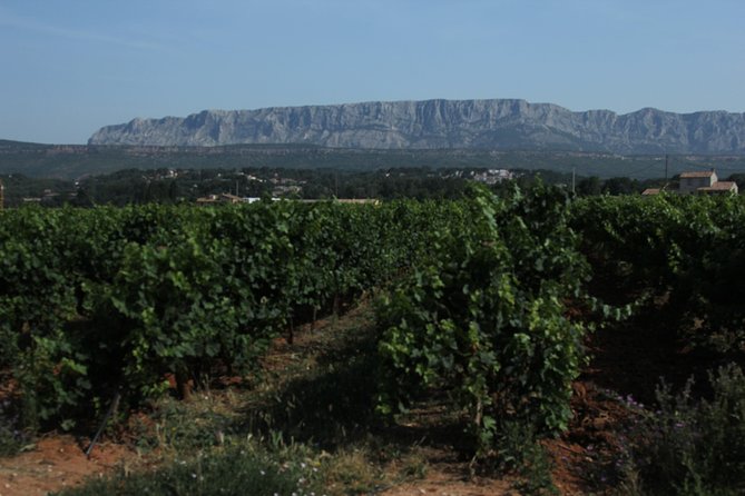 Provence Wine Tasting Tour Plus Luberon From Aix-En-Provence  - Cancel 24H Prior & Full Refund - Minimum Travelers and Reviews