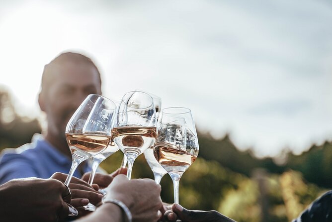 Provence Wine Tour - Private Day Tour From Antibes - Traveler Feedback