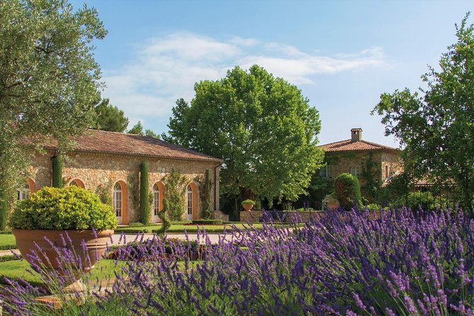 Provence Wine Tour - Private Day Tour From Cannes/Mougins - Reviews