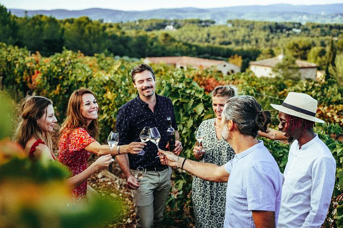 Provence Wine Tour - Private Day Tour From Nice - Tour Overview