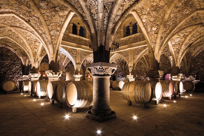 Provence Wine Tour - Private Day Tour From Nice - Traveler Experiences and Reviews