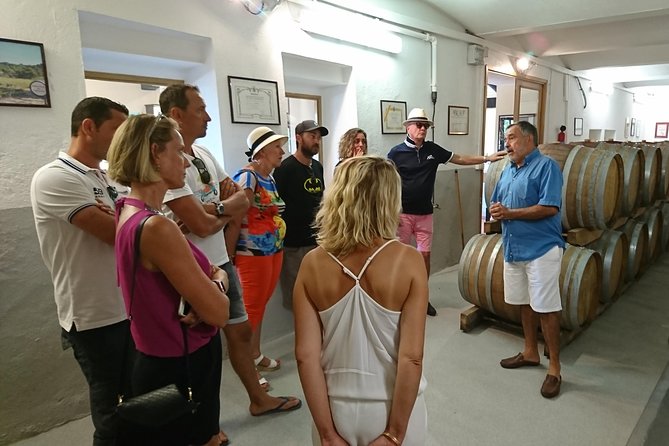 Provence Wine Tour - Private Day Tour From Nice - Tour Guides