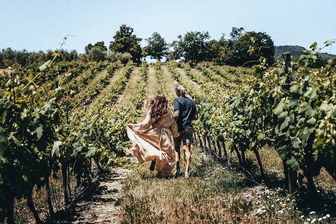 Provence Wine Tour - Small Group Tour From Cannes - Directions