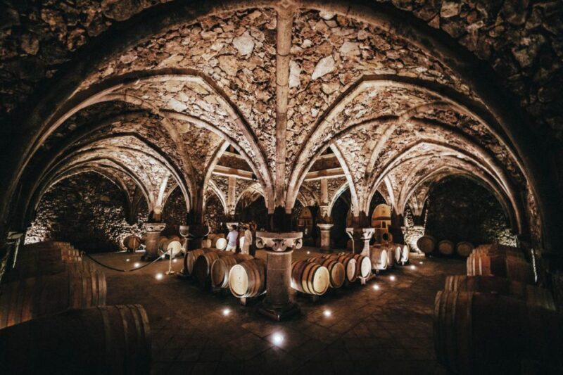 Provence Wine Tour - Small Group Tour from Cannes - Authenticity and Value