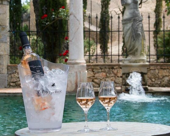 Provence Wine Tour - Small Group Tour From Nice - Expert-Led Wine Tasting