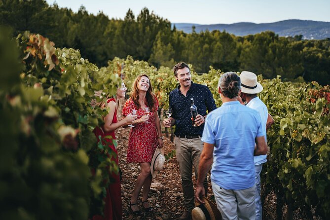 Provence Wine Tour - Small Group Tour From Nice - Vineyard Experiences